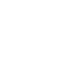 Cleaning Brush