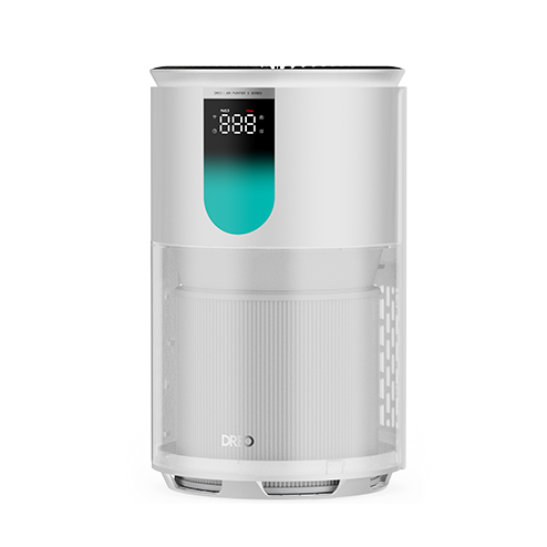 Air Purifier 539